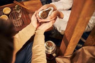 From China’s Most Famous Herb Market to a Massage That Hurts So Good: Our Guangzhou TCM Guide
