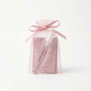 Mini Spray and Wipe Bundle
